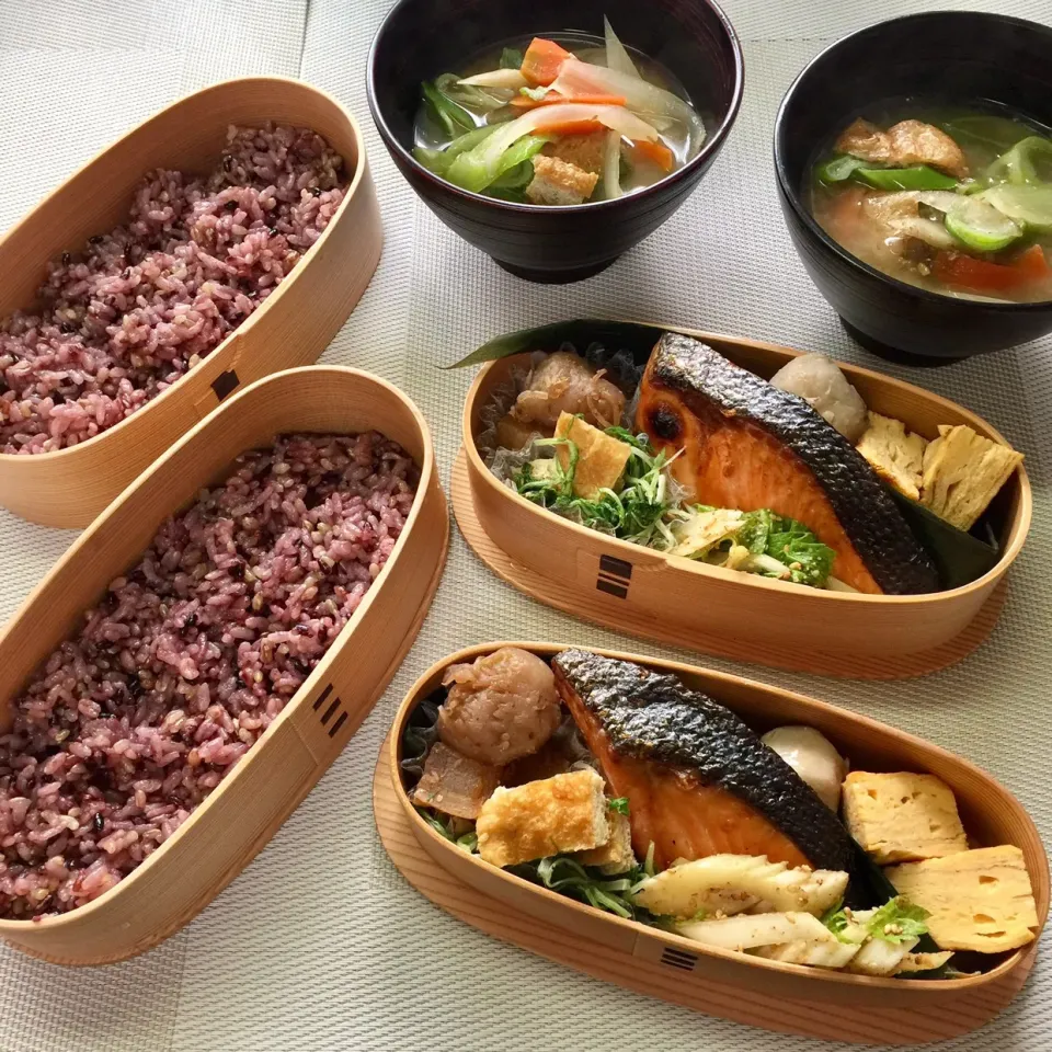 🍱４月７日(日) 今日のお弁当
○ 雑穀米ごはん
○ 焼き鮭（甘塩）
○ 里芋の煮物
○ 玉子焼き
○ 玉こんにゃくと大根
○ 水菜と油揚げの煮浸し
○ セロリの胡麻和え
○ 根野菜のお味噌汁|mutsumi☺︎さん