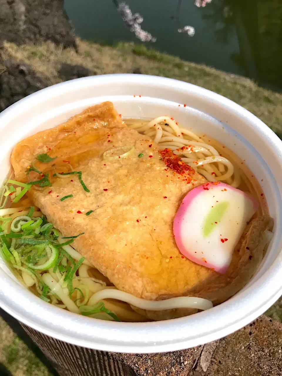 岸和田城にて きつねうどん🦊🍜|ナナさん