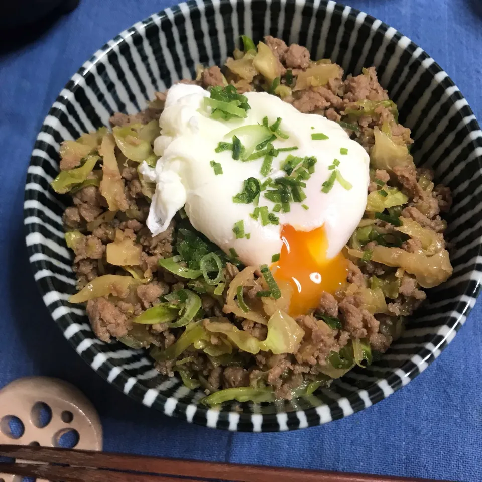 Snapdishの料理写真:餃子の具丼|あさかさん