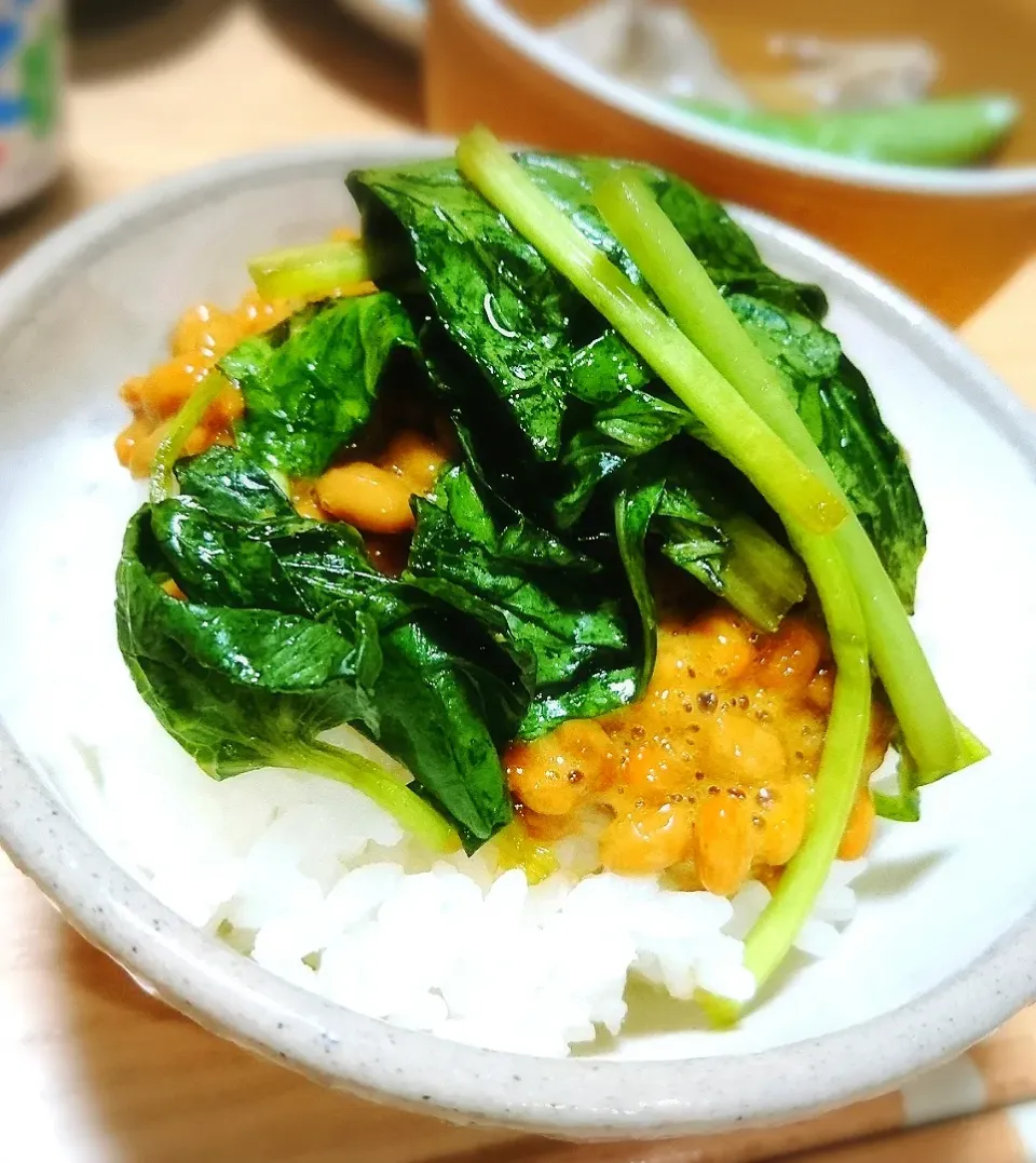 納豆わさび菜醤油漬けご飯|ポコさん