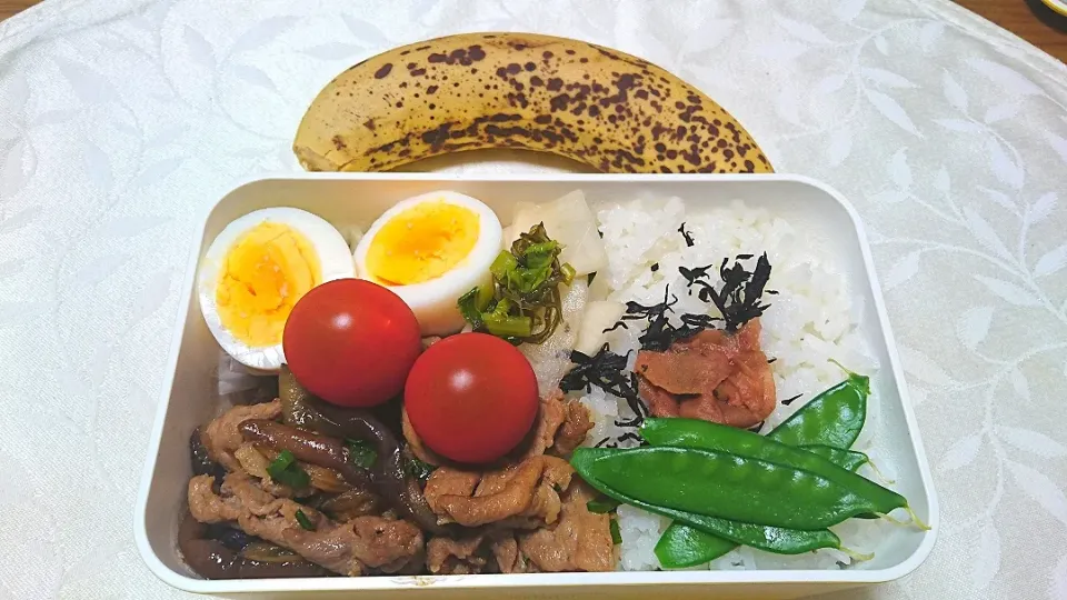 Snapdishの料理写真:4/8のお弁当
茄子と豚肉の醤油炒め、海苔弁当など|卯月さん