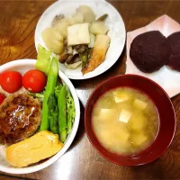 Snapdishの料理写真:ハンバーグ丼    煮物   おはぎ|marinayさん