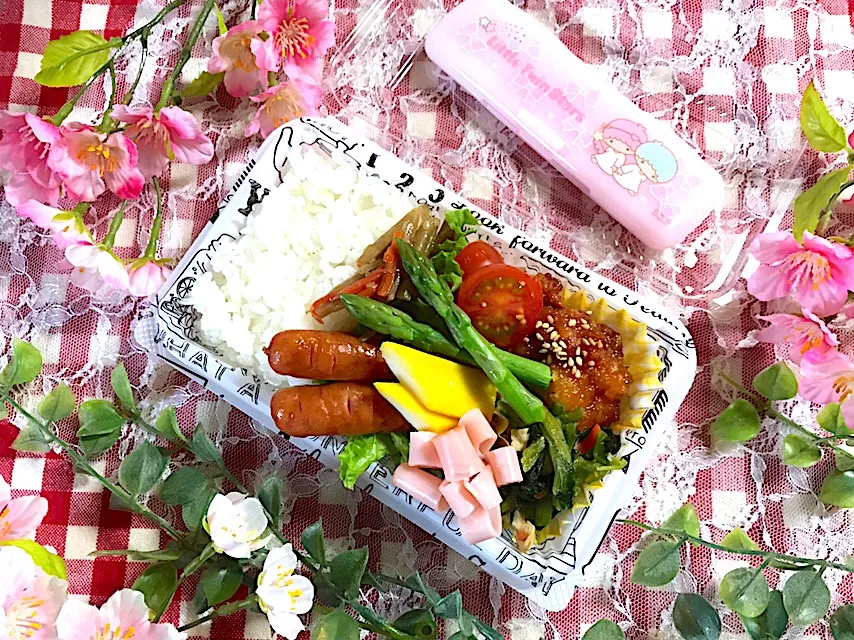 4/9姫のお弁当|harutomomariさん