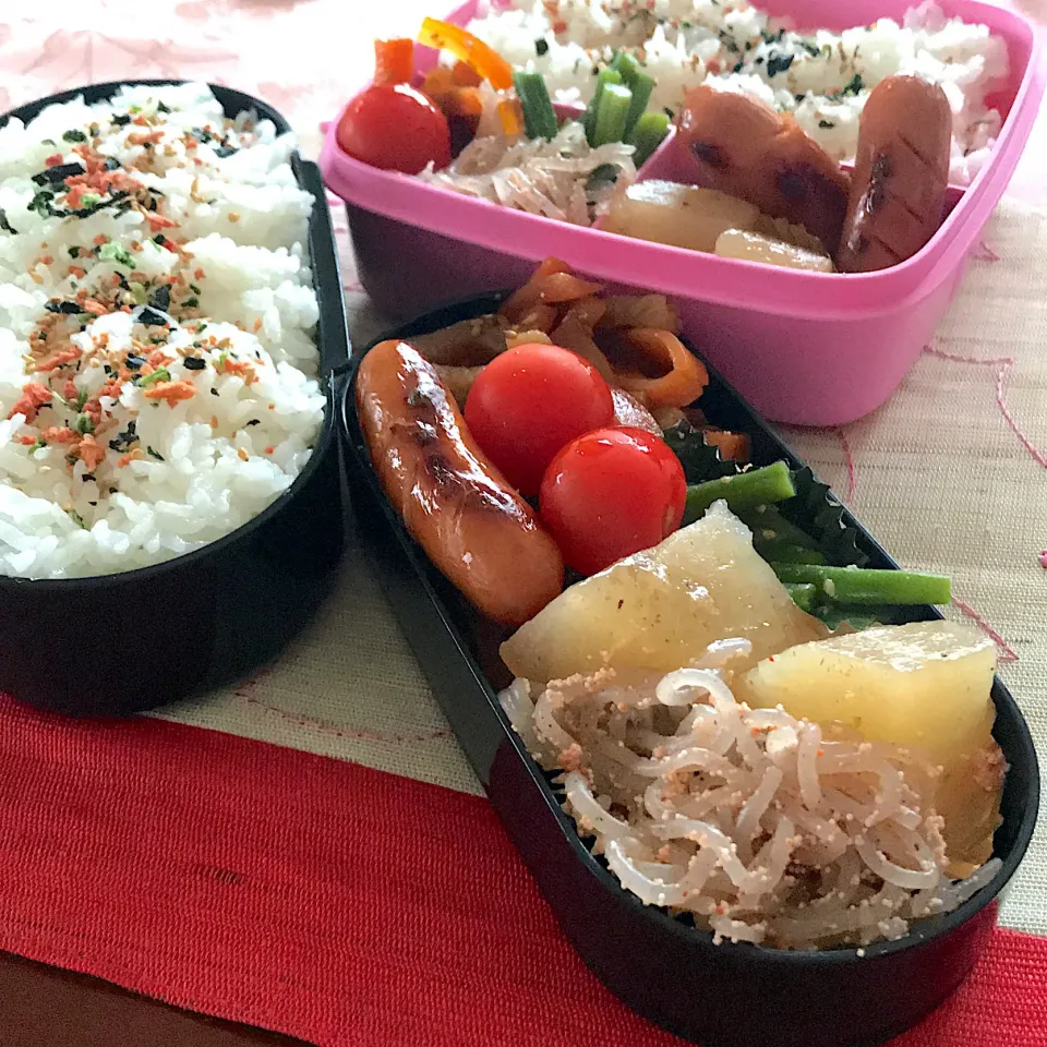 今日のお弁当🍱
しらたき真砂和え
大根煮

さくらの美しさを
楽しみながら
今日も頑張って
まいりましょう٩( 'ω' )و

気をつけて
いってらっしゃい👋😊|mokoさん