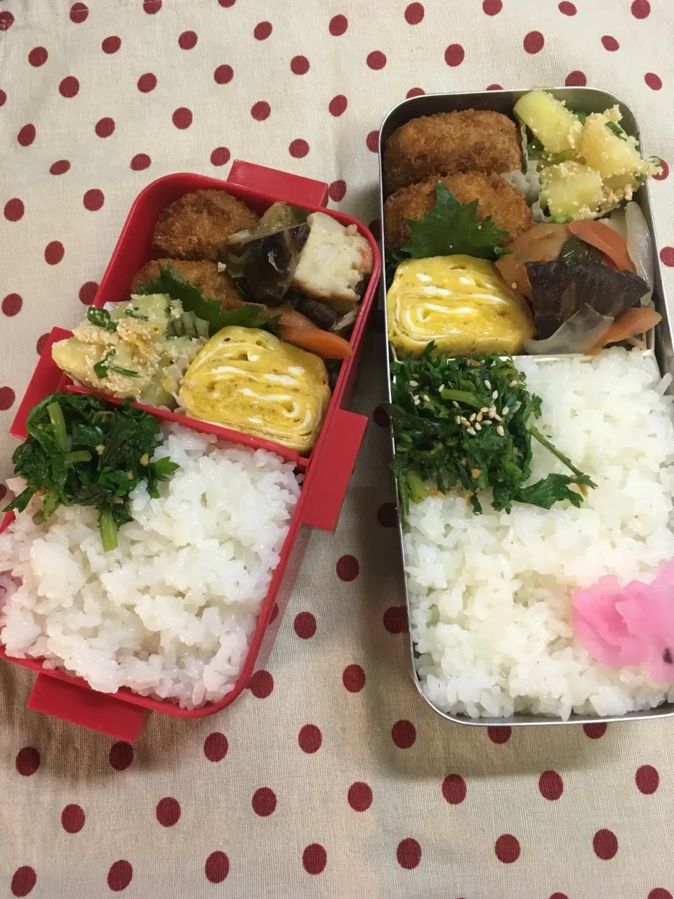 4月9日 今日も晴天弁当🍱|sakuramochiさん