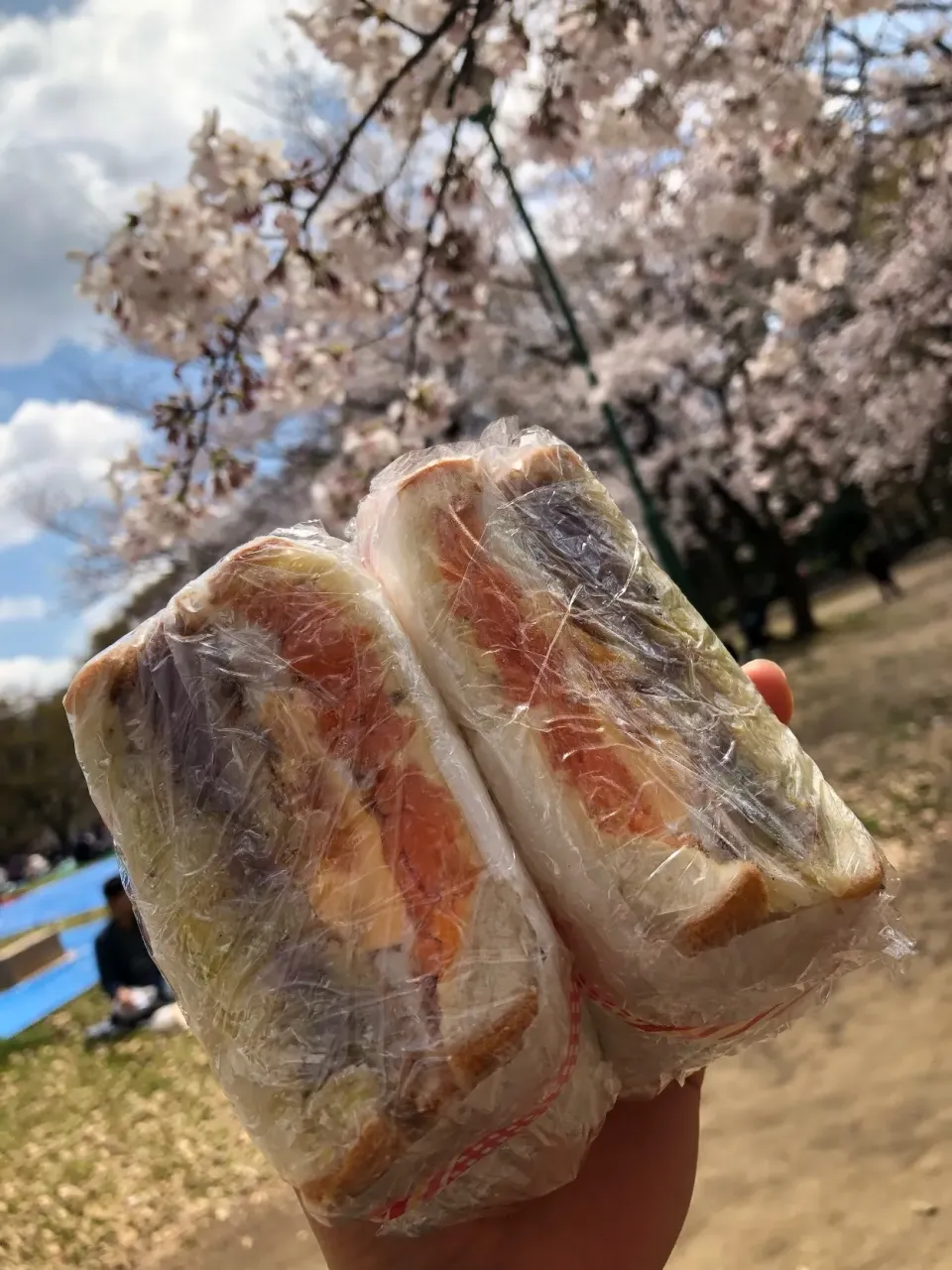 お花見しながらだとなんでも美味しい😋😋|宙まめさん