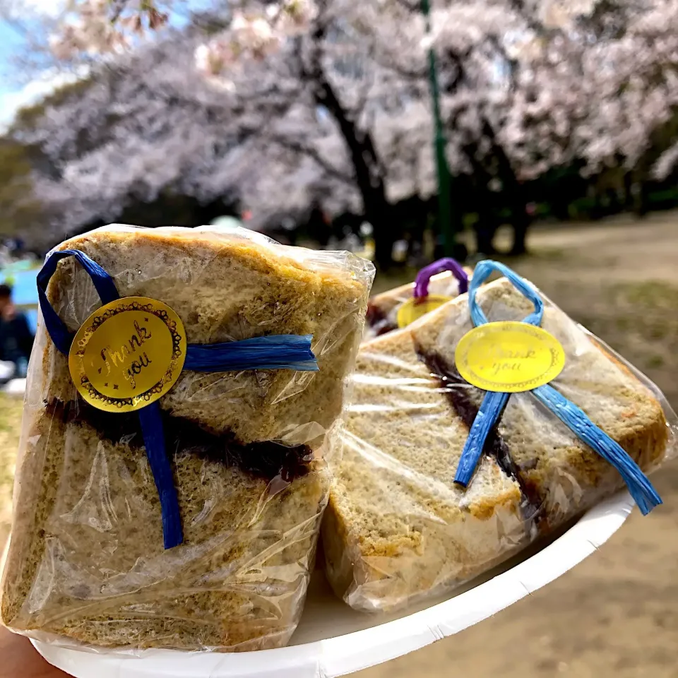 桜の下で桜味のシフォンケーキ🌸あんこと合わせていただきと桜餅のような風味🌟|宙まめさん