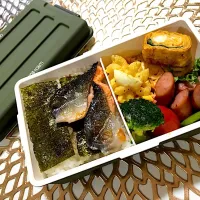 Snapdishの料理写真:#鮭弁当|おかゆさん