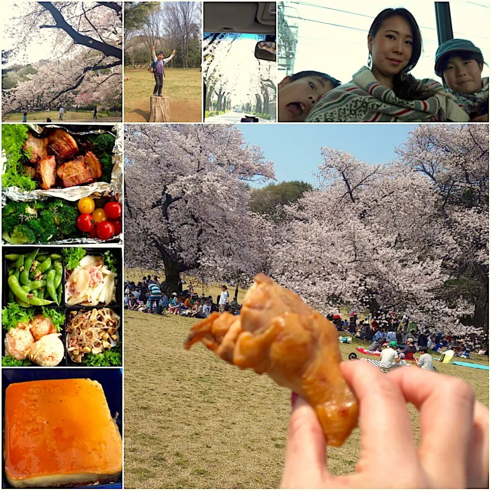 Snapdishの料理写真:Cherry‐blossom viewing picnic 2019🌸|🌈Ami🍻さん