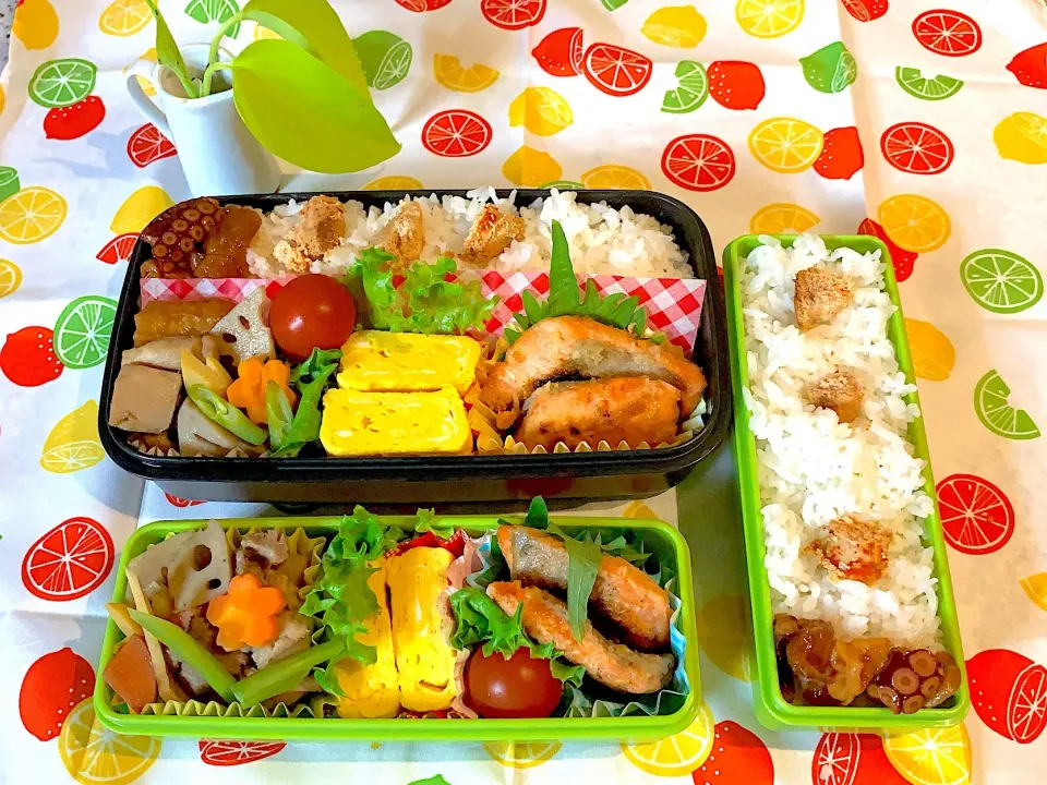 #男子部活弁当。姉おまけお弁当 
 #お弁当 
今日のお弁当
作り置き筑前煮、サーモンのバター醤油、だし巻き玉子、焼き明太子、タコ🐙の梅煮
☔️雨だけど、元気出して今日も一日笑顔で頑張ろうね。|yukaさん