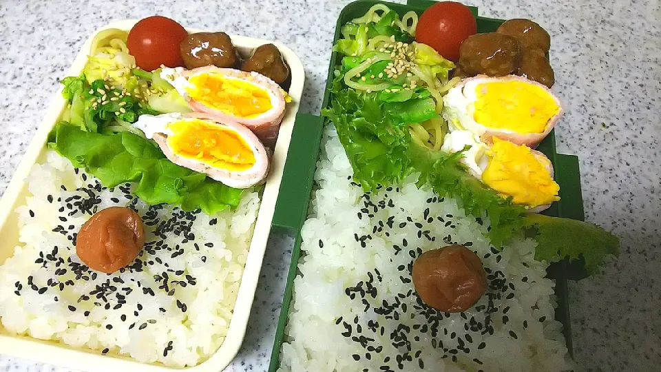 夫 自分 弁当|かねしろ食堂さん