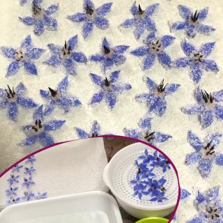 すみれの花の砂糖漬け Sophia Kam Snapdish スナップディッシュ Id Yva4ka