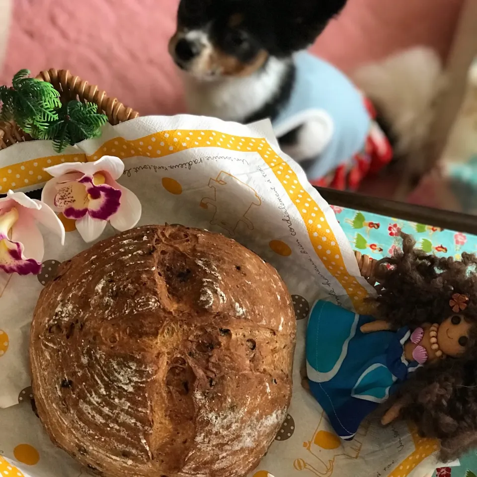 ヨーグルトイチヂクブルーベリーレーズンカンパーニュ🥖長‼️😜|noeさん