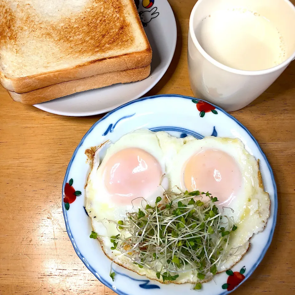 トースト&目玉焼き🐸型|Makokoさん