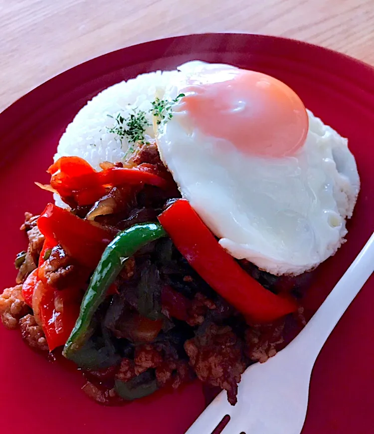 ガパオライスで早め晩ご飯🇹🇭💕
ナンプラーなくなるの早い〜💦|おーやんさん