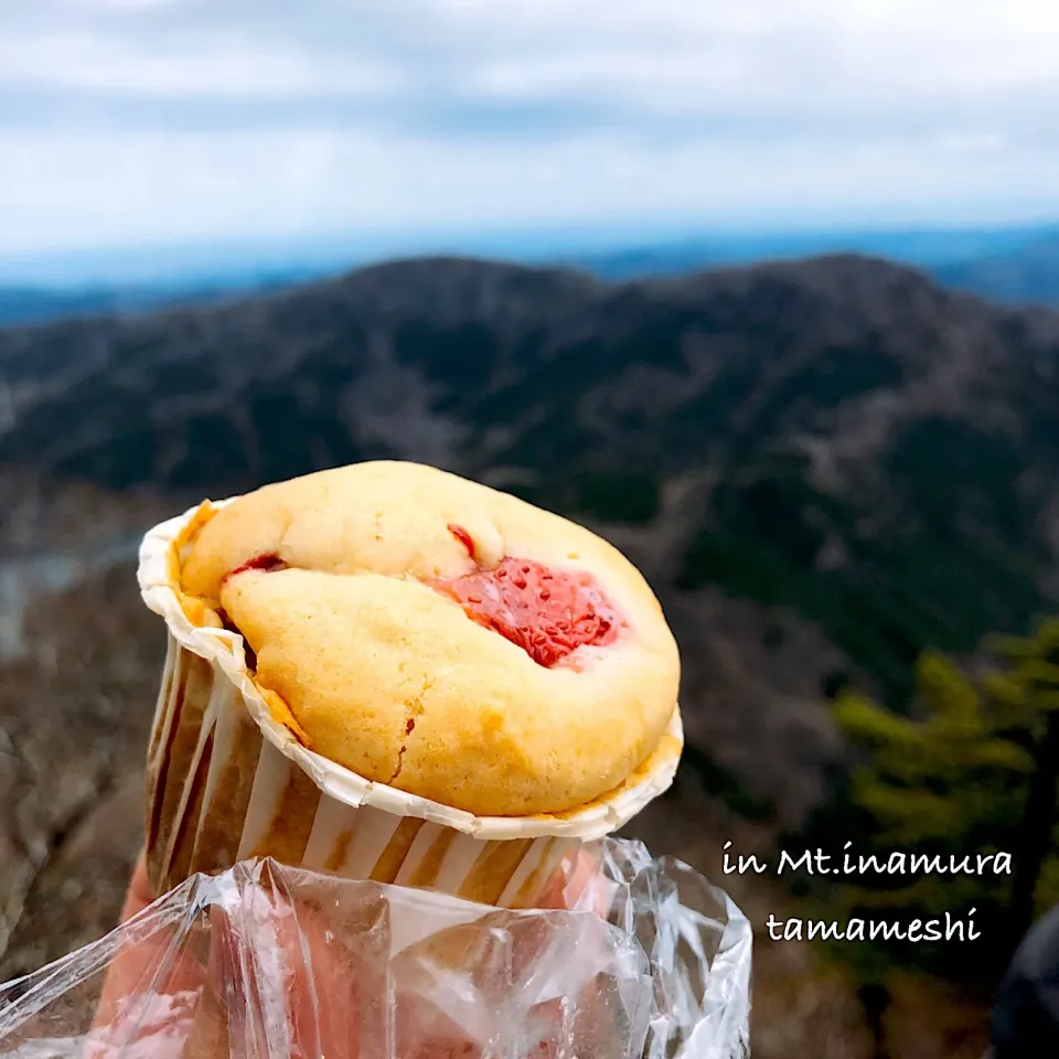 フレッシュ苺のミルキーマフィン🍓|tamaさん