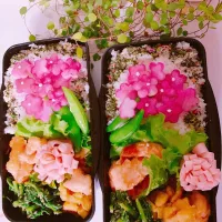 お花見弁当|ゆきよさん