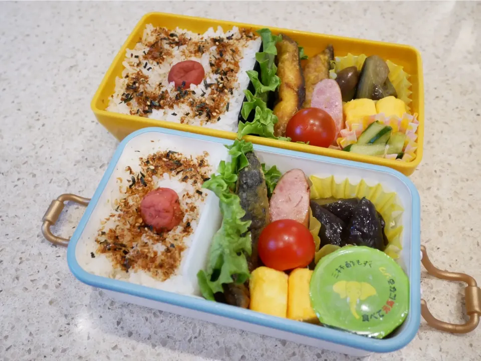 Snapdishの料理写真:19/04/12 父娘弁当♪|ikukoさん