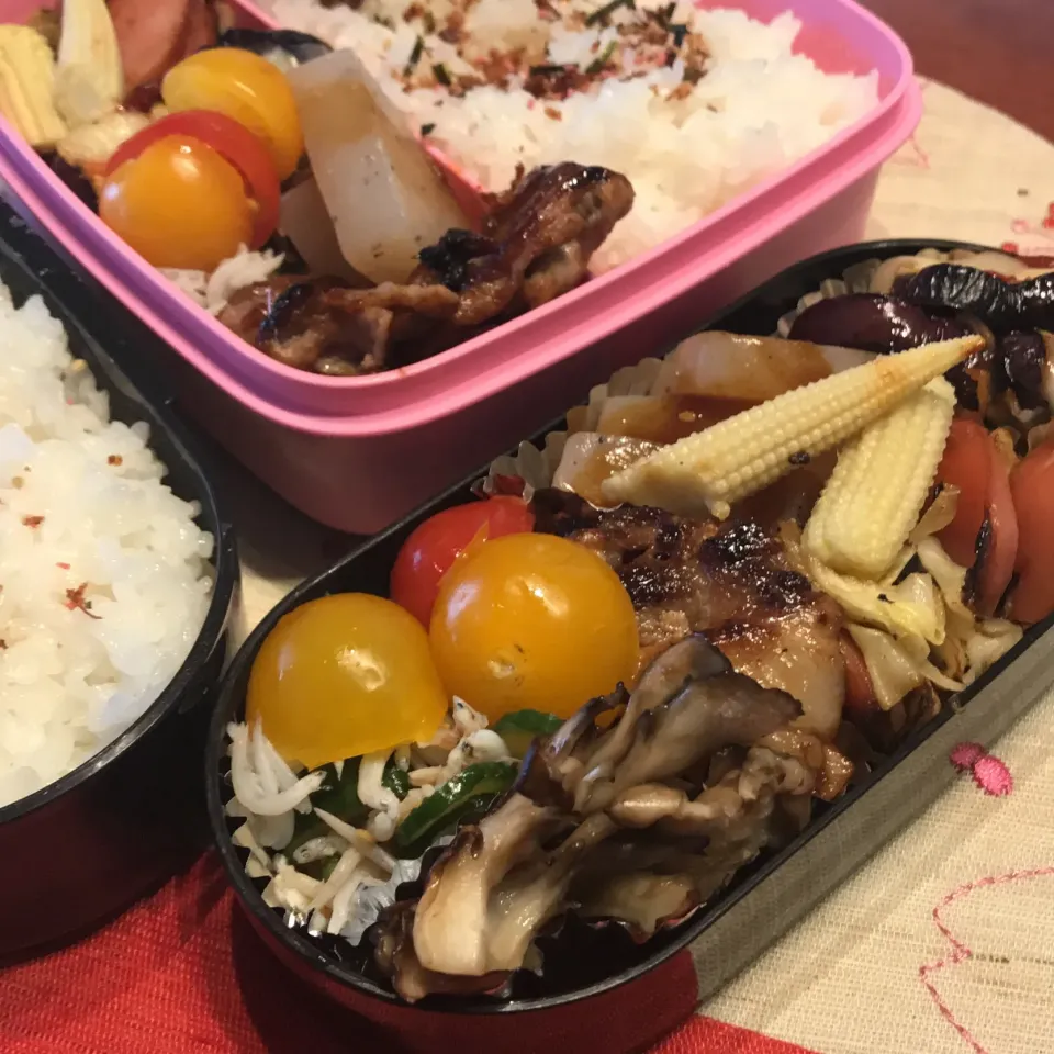 今日のお弁当🍱
あれこれ食べて週末
乗り切りましょ♪

寒く感じる日ばかりƪ(˘⌣˘)ʃ
風邪ひかないようにね

今日も気をつけて
いってらっしゃい👋😊|mokoさん