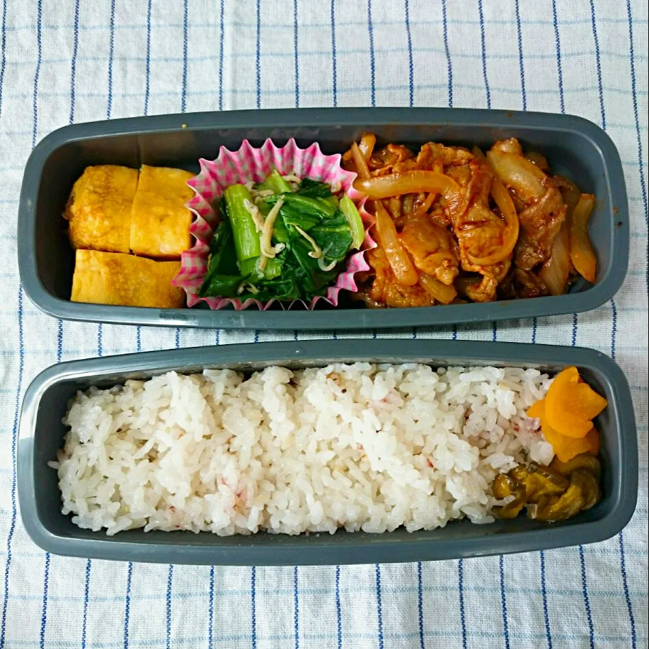 ポークチャップ弁当|jun(・x・)さん