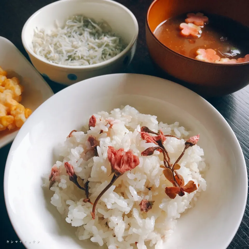 Snapdishの料理写真:桜ご飯🌸|Kashimanakitchenさん