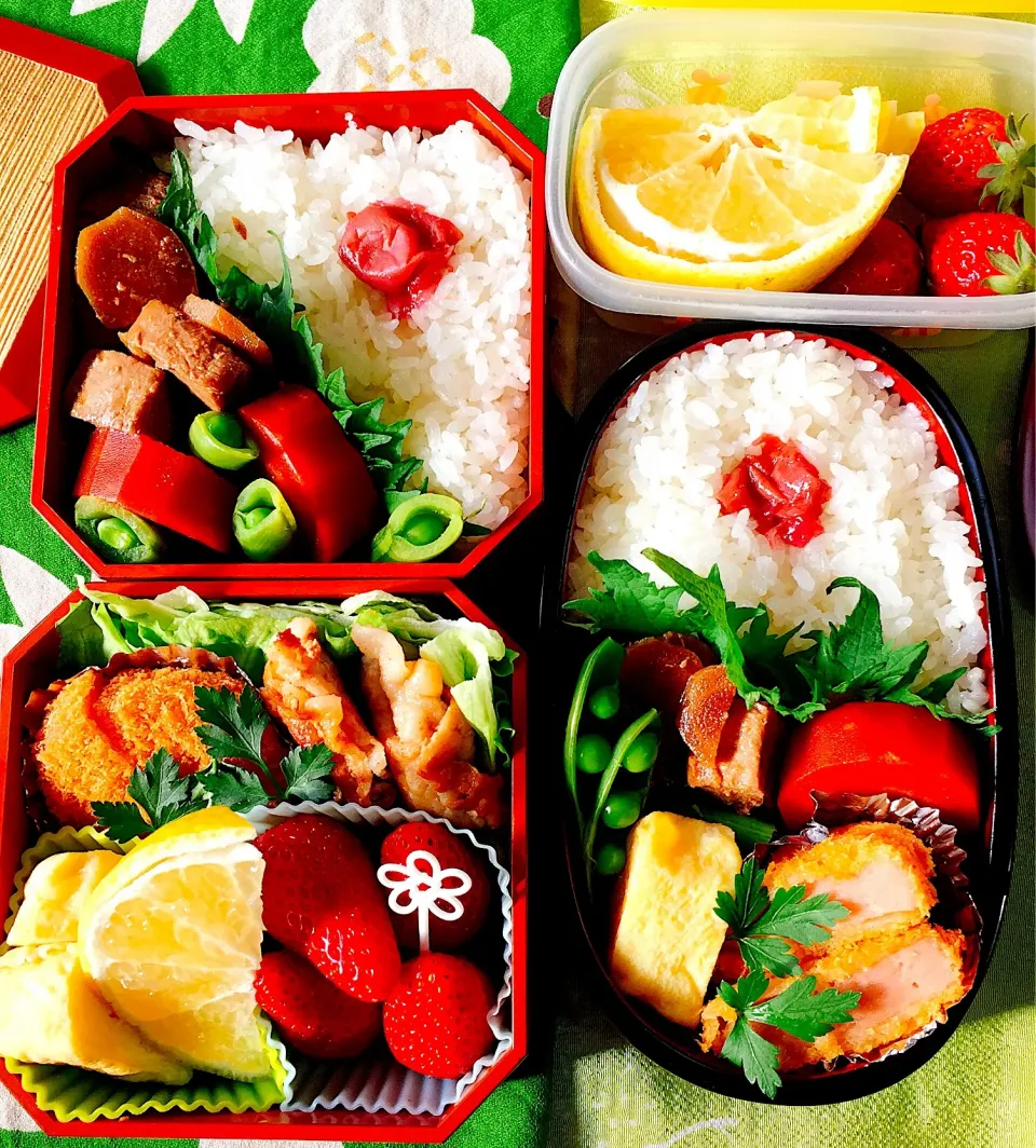 Snapdishの料理写真:#お弁当 #お父さん弁当 #自分弁当 
#夫婦弁当  #金時人参煮染め  #シニア世代 
 #ヘルシー弁当  #野菜たっぷり  #出汁巻き玉子 
 #雪むすび白米  #鮪の時雨煮  #デザートははるか蜜柑とイチゴ|Blueberry🫐さん