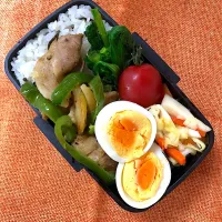 Snapdishの料理写真:お弁当|asmchenさん