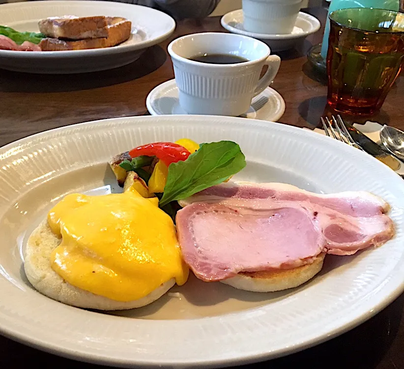 人生再出発の朝ごはん☀️☀️☀️断酒1日目                               エッグベネディクトとアニヴァーサリーブレンド リスやジュウシマツを眺めながら...|ぽんたさん