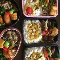 Snapdishの料理写真:家族みんなお弁当🍱|ゆきあんこさん