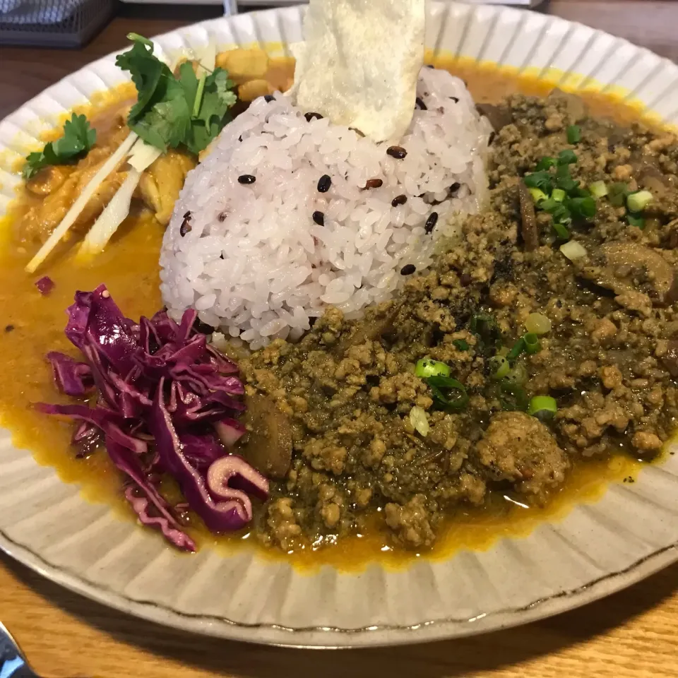 Snapdishの料理写真:スパイスカレー2種盛#カレー食堂ジャンゴ|koji toyodaさん