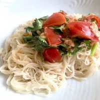 今年初のお素麺。トマトとパクチー、ツナマヨを混ぜてサラダ風。|hinacoさん