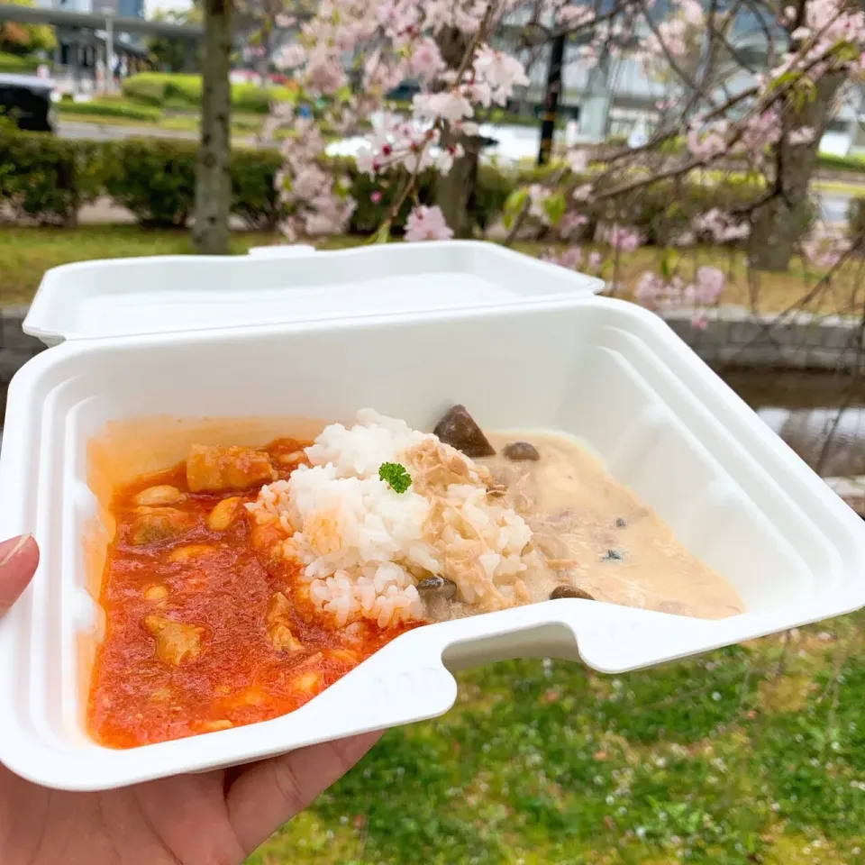 鶏肉ときのこのフリカッセ🍄
豚肉のトマト煮込み🍅のあいがけ|ちゃみこさん