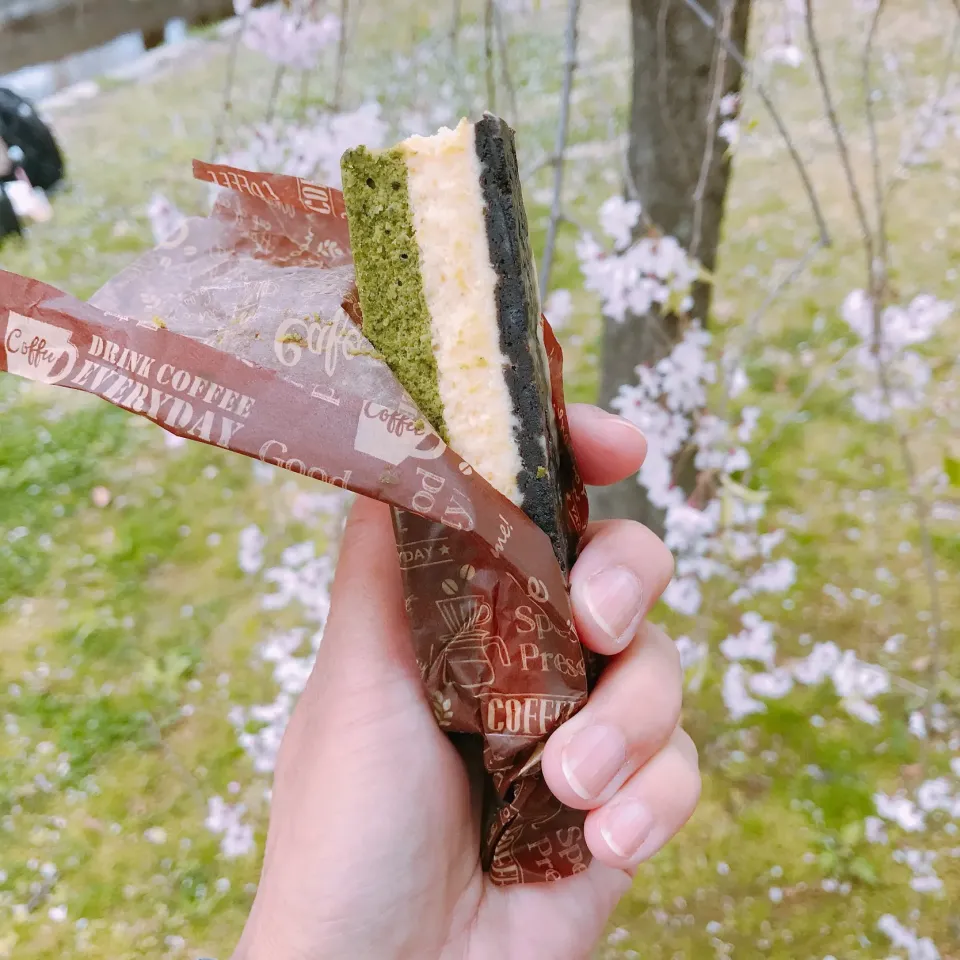 抹茶のスティックチーズケーキ🧀|ちゃみこさん