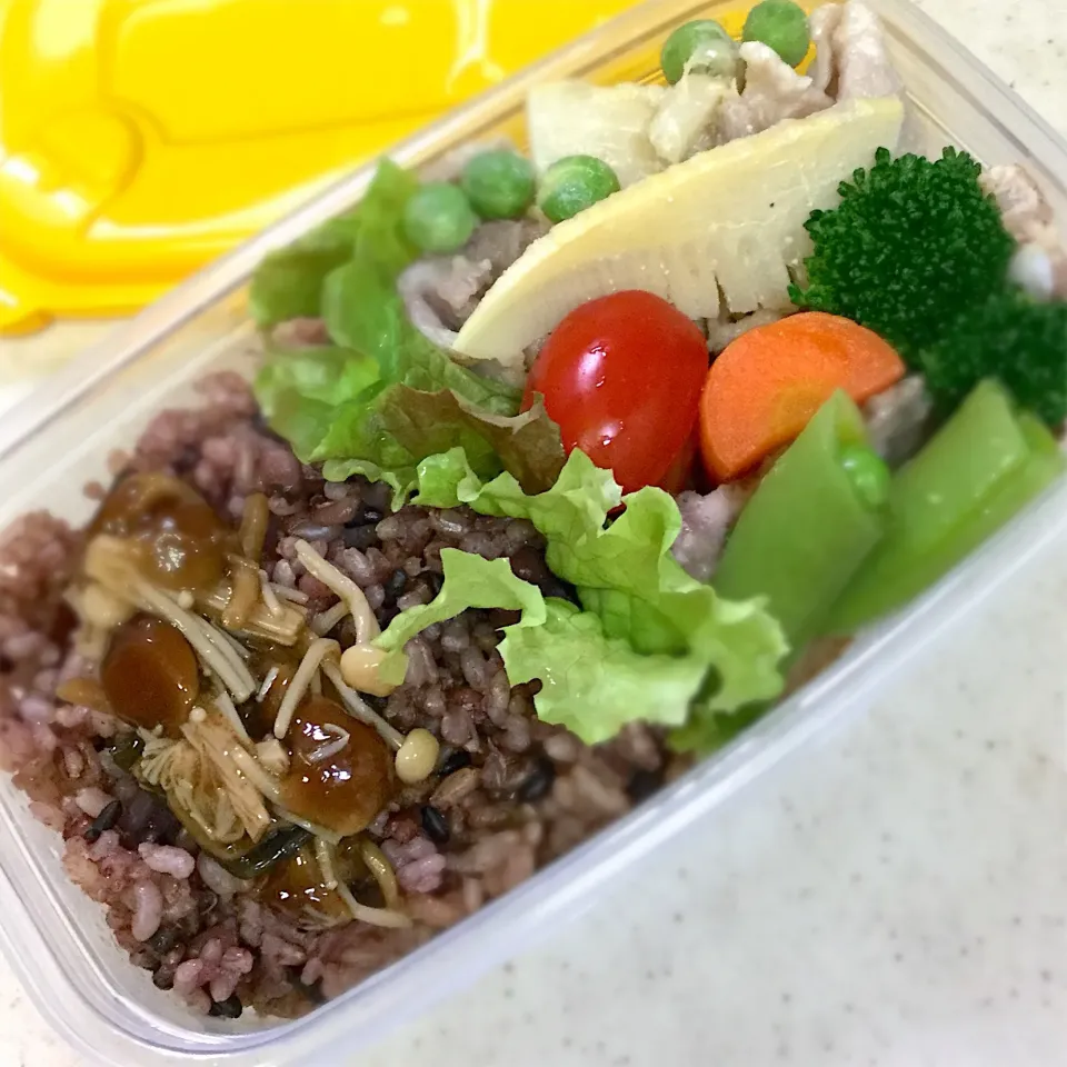 Today's  lunch box|hoppycowさん