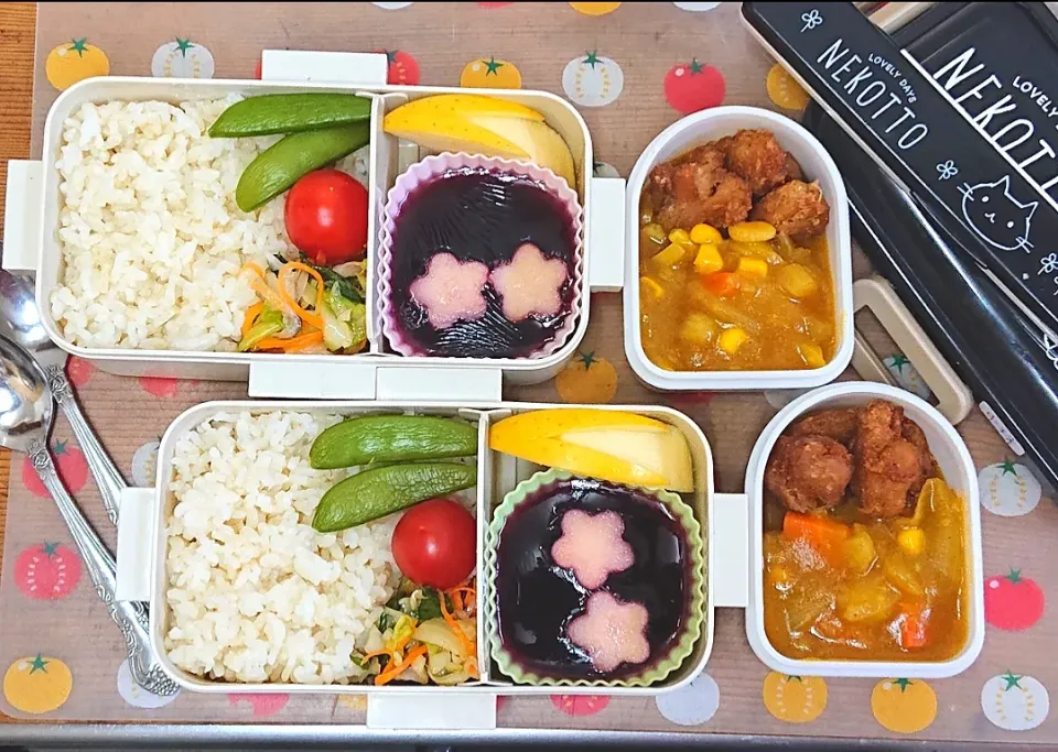 ハーモニックフード(vegan)弁当♪|亜依さん