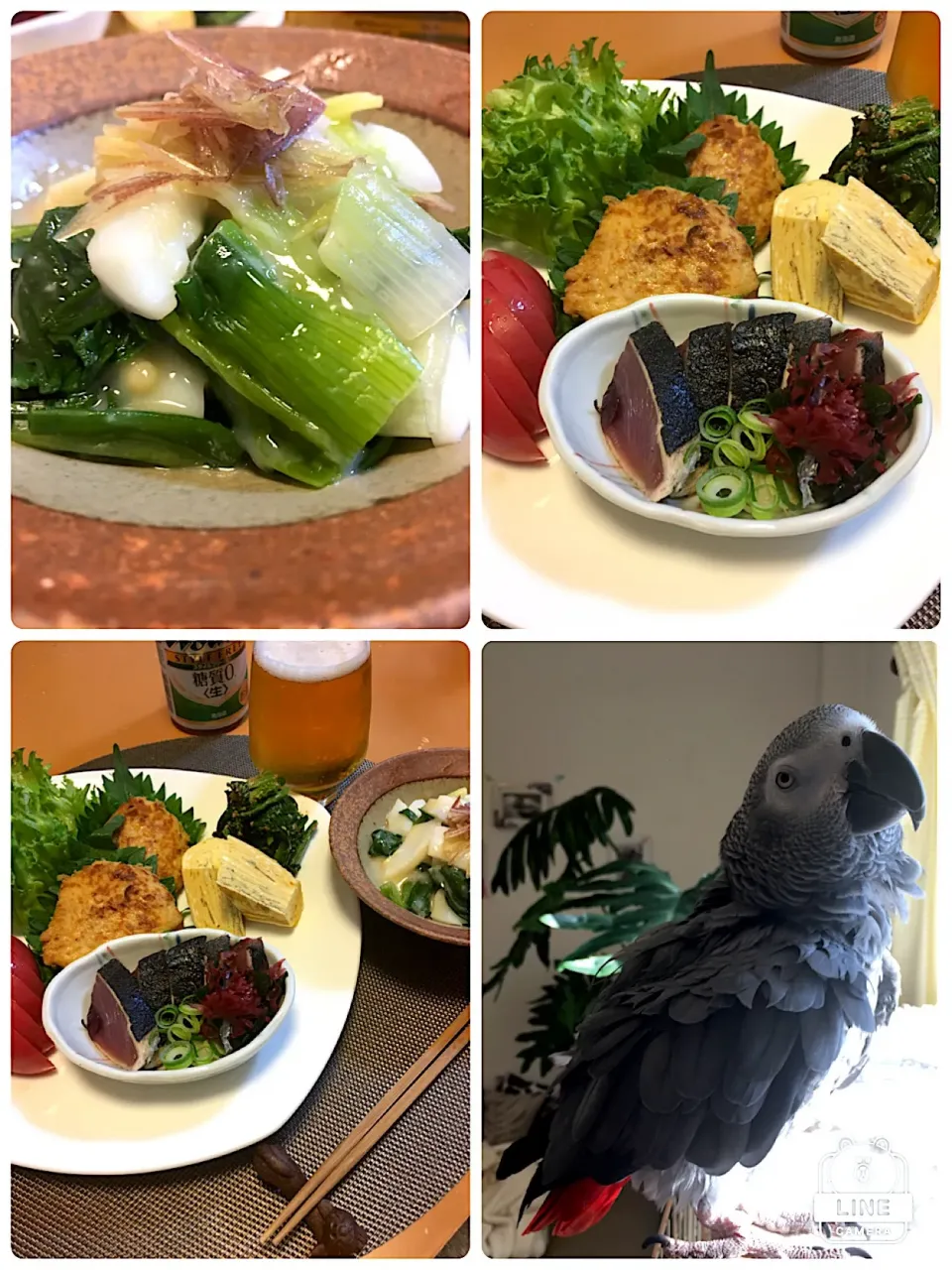 Snapdishの料理写真:ワンプレートで(๑•̀ •́)و✧
✰︎鶏つくね
✰︎厚焼き玉子
✰︎ほうれん草ナムル
✰︎カツオたたき
✰︎フルーツ🍅
一番食べたかったのが！！わけぎといかの酢みそ和え❤|MOMO-chan☻さん