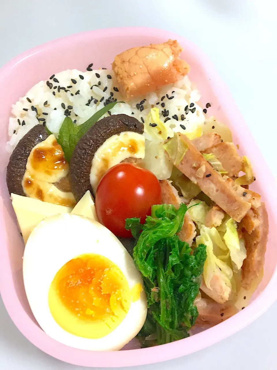 Snapdishの料理写真:お弁当|sasaさん