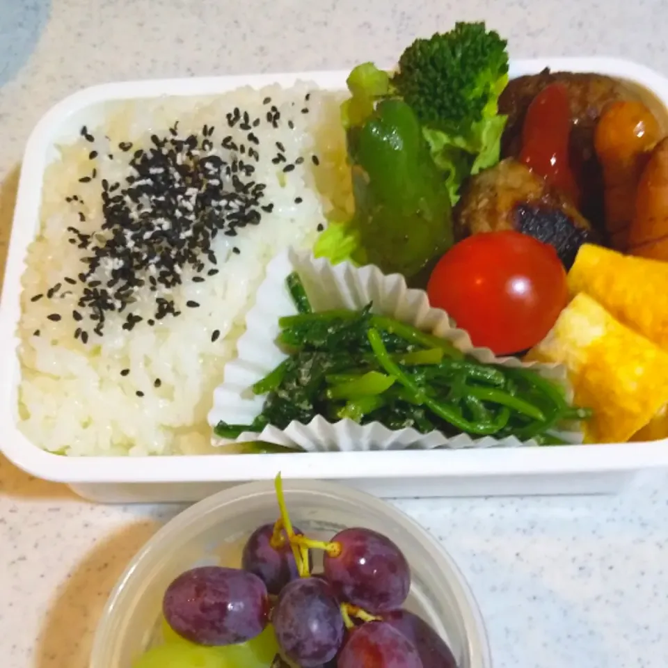 今日の息子のお弁当🍱|けーこさん