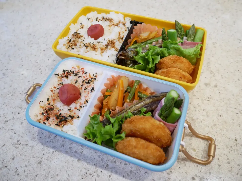 Snapdishの料理写真:19/04/16 父娘弁当♪|ikukoさん