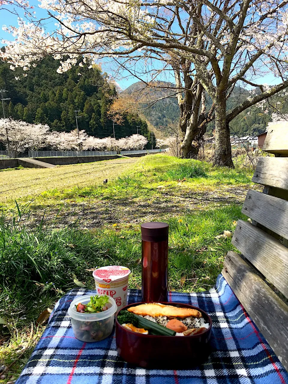 ピクニック・ランチ♬ (▰˘◡˘▰)☝︎16 April
 #ピクニック  #ピクニックランチ  #お弁当  #カップヌードル  #お花見弁当  #花見  #静原  #大原  #京都精華大学|Yoshinobu Nakagawaさん