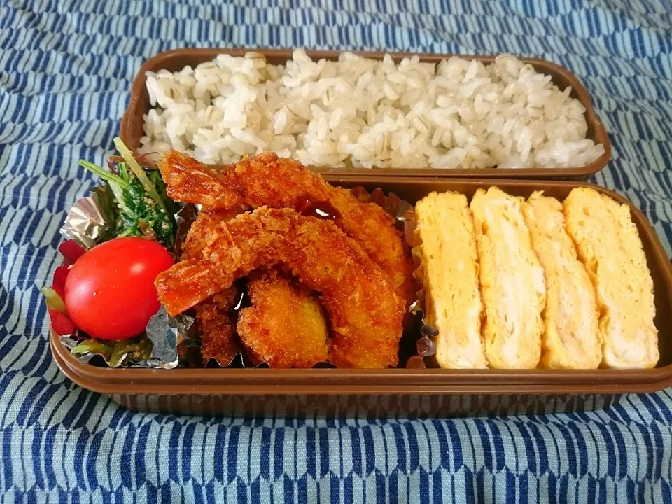 ☆今日のお弁当☆  パパのお弁当作り始めました。|hamamaさん