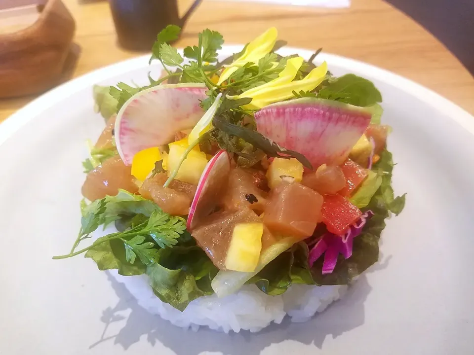 マグロとアボカドのサラダご飯|モコさん