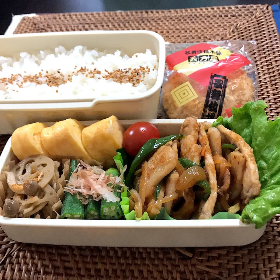 おじさん弁当🍱  ☆ Apr.17.2019 ☆


 #おじさん弁当|ニャン太郎さん