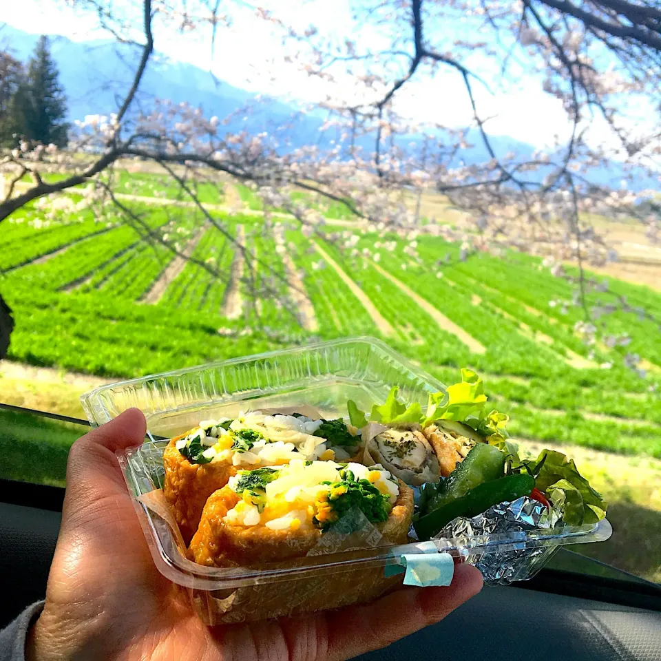 Snapdishの料理写真:昼ごはん⭐️⭐️⭐️
菜の花と炒り卵のいなり寿司  椎茸のツナ詰めの肉巻きなど|ぽんたさん