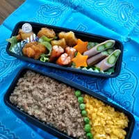 Snapdishの料理写真:中2男子☆そぼろ弁当|みぃ☆さん