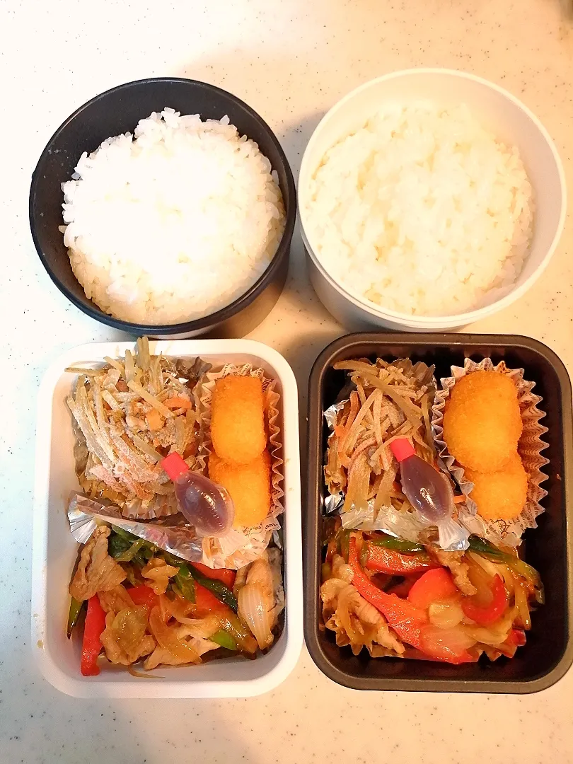 息子２人の今日のお弁当
なんかいつも通りだなぁ〜|ナナオさん