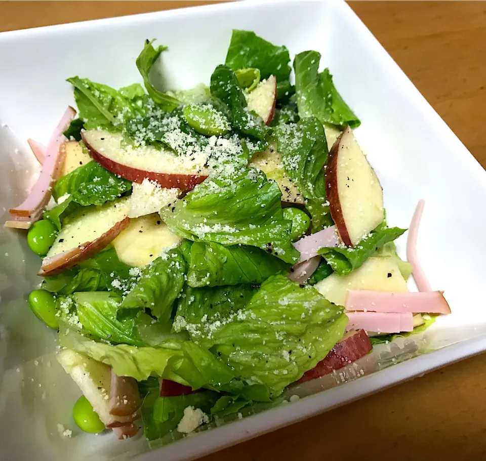 ロメインレタスとりんごのシャキシャキサラダ🍎🥗アップルビネガー&レモン➕オリーブオイル|sho_shoさん