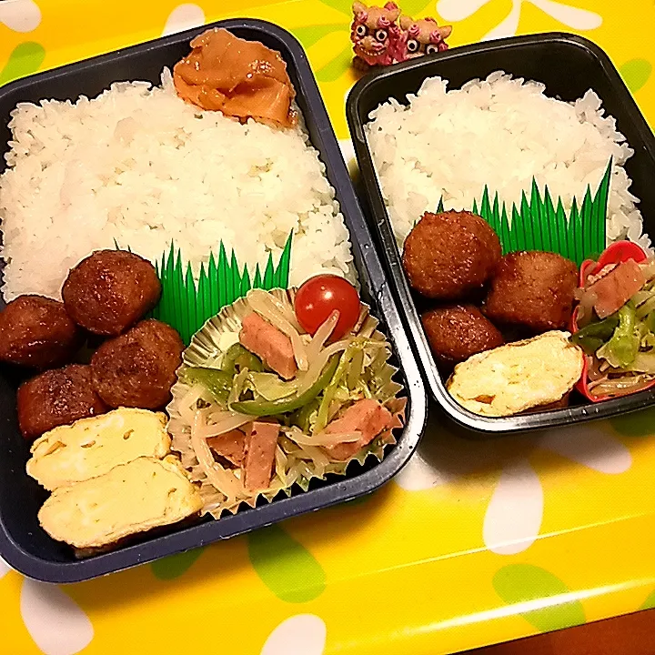 夫の弁当、娘の弁当|みどりさん