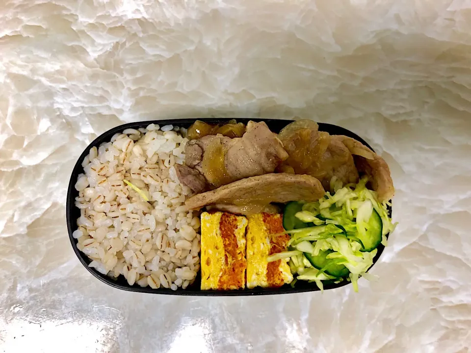 今日のお弁当4/18|としぼーさん