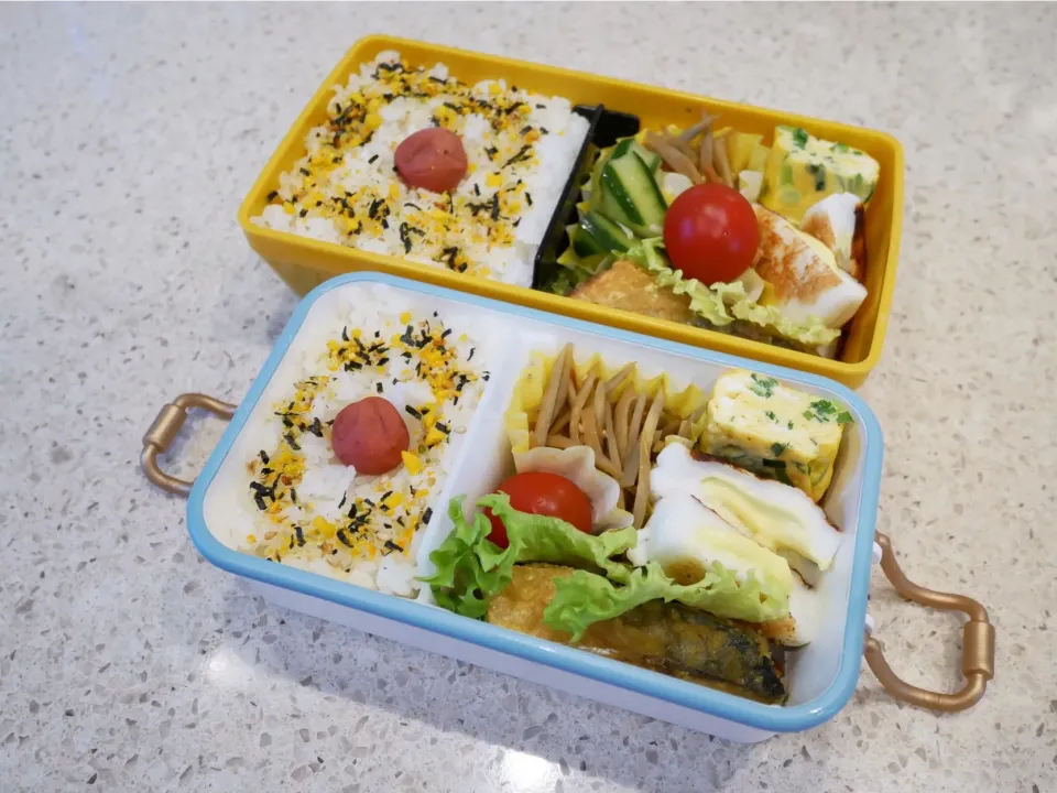 Snapdishの料理写真:19/04/18 父娘弁当♪|ikukoさん